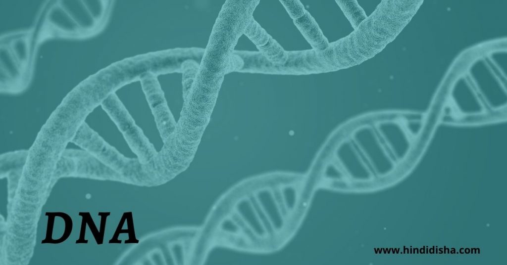 DNA का फुल फॉर्म क्या है?